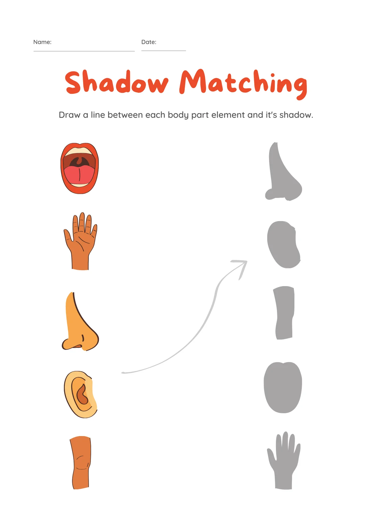 Shadow matching body parts worksheet